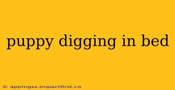 puppy digging in bed