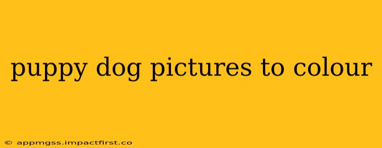 puppy dog pictures to colour