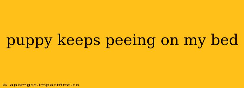 puppy keeps peeing on my bed