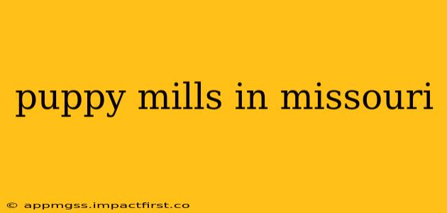 puppy mills in missouri