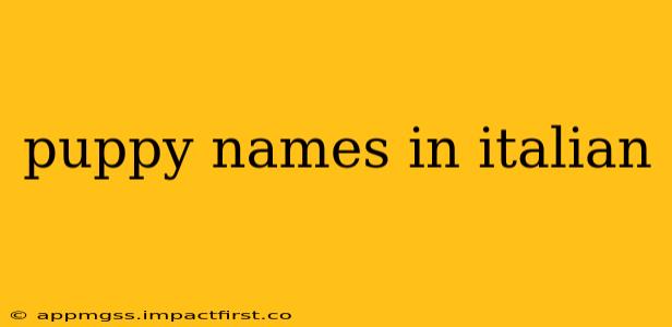puppy names in italian