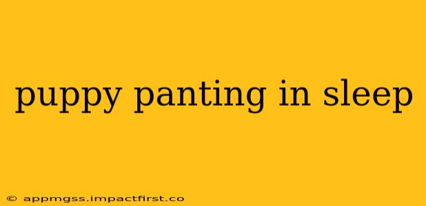 puppy panting in sleep