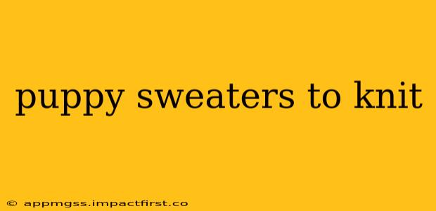 puppy sweaters to knit