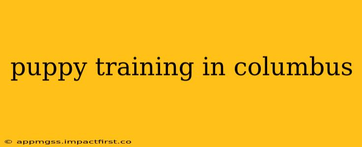 puppy training in columbus