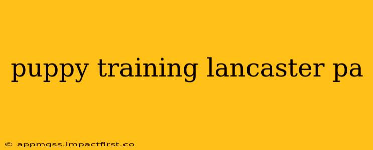 puppy training lancaster pa