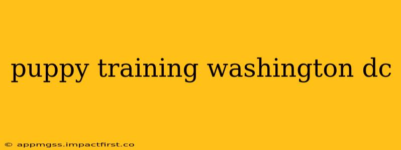 puppy training washington dc