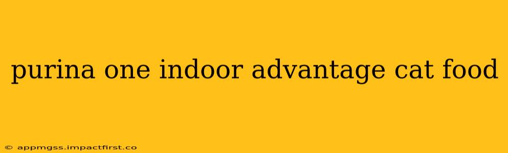 purina one indoor advantage cat food