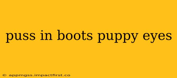 puss in boots puppy eyes