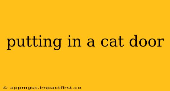 putting in a cat door