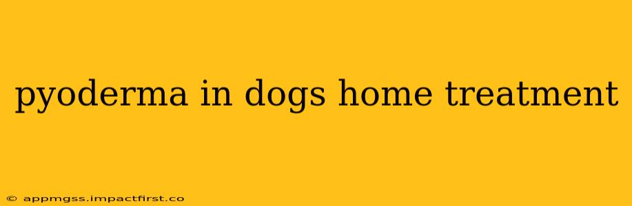 pyoderma in dogs home treatment