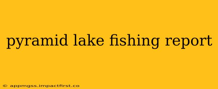 pyramid lake fishing report
