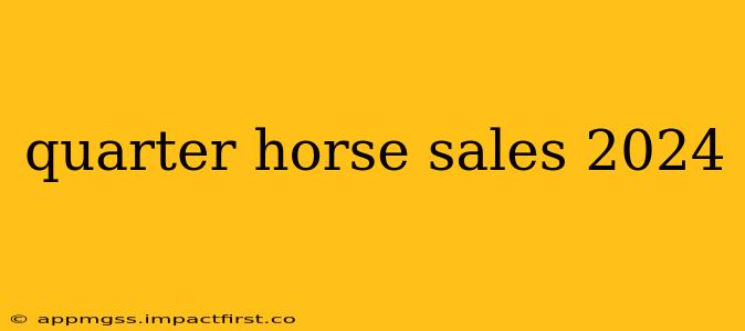 quarter horse sales 2024