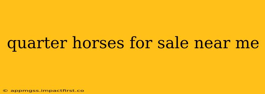 quarter horses for sale near me