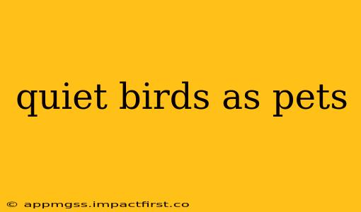 quiet birds as pets