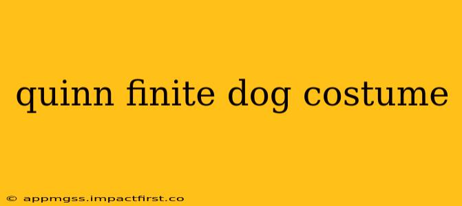 quinn finite dog costume