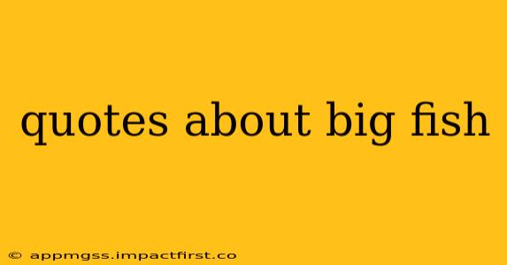 quotes about big fish