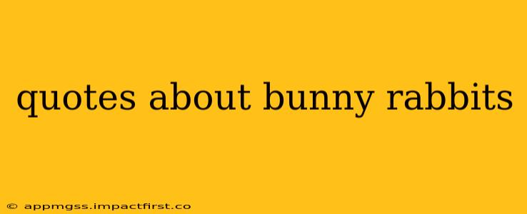 quotes about bunny rabbits