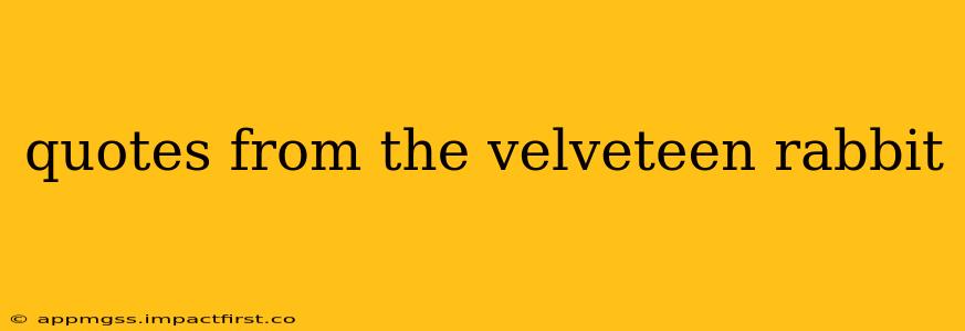 quotes from the velveteen rabbit