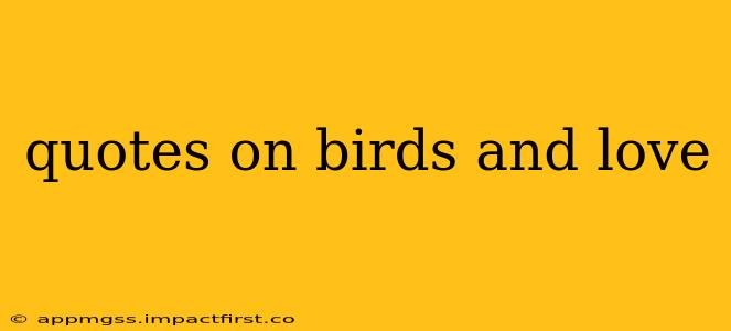 quotes on birds and love