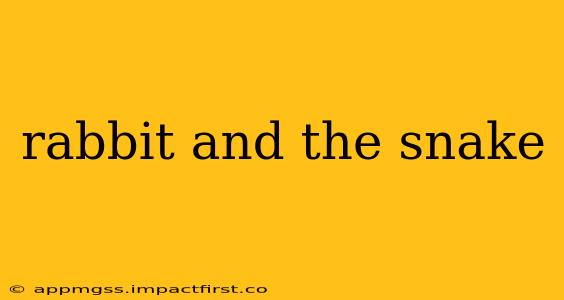 rabbit and the snake