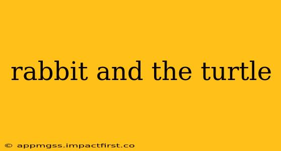 rabbit and the turtle