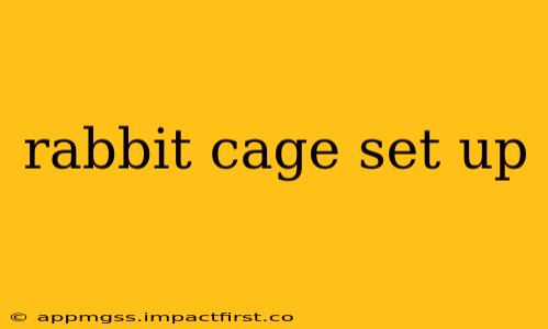rabbit cage set up