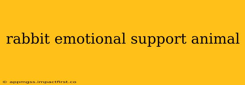 rabbit emotional support animal