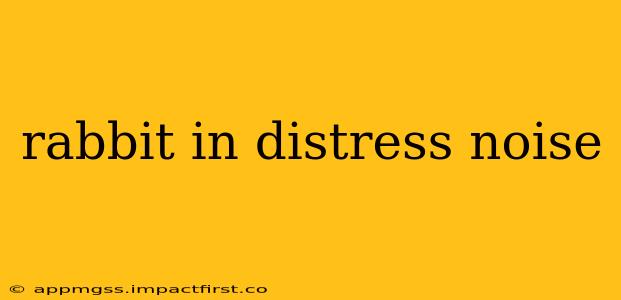rabbit in distress noise