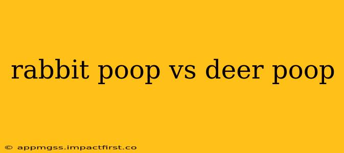 rabbit poop vs deer poop