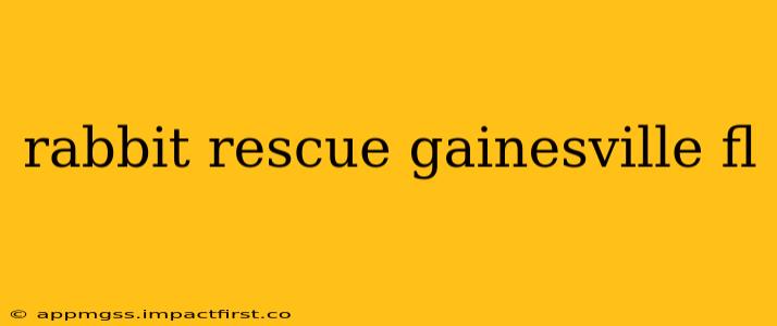 rabbit rescue gainesville fl