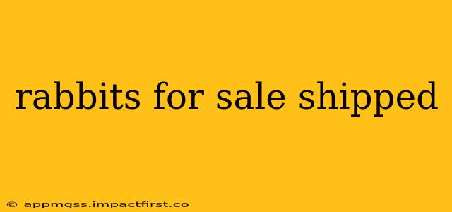 rabbits for sale shipped