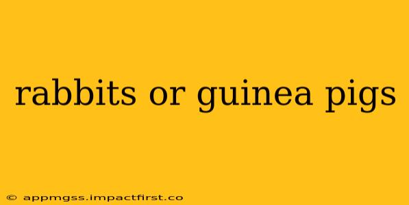 rabbits or guinea pigs