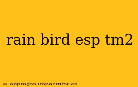 rain bird esp tm2