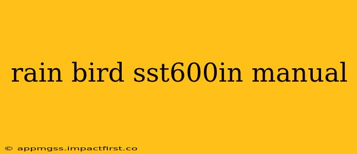 rain bird sst600in manual