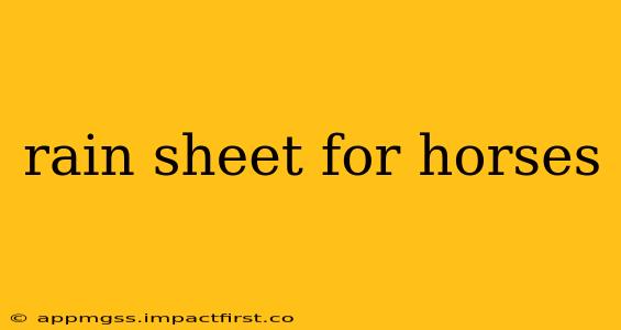 rain sheet for horses
