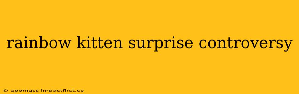 rainbow kitten surprise controversy