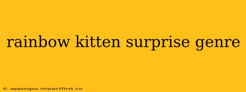 rainbow kitten surprise genre