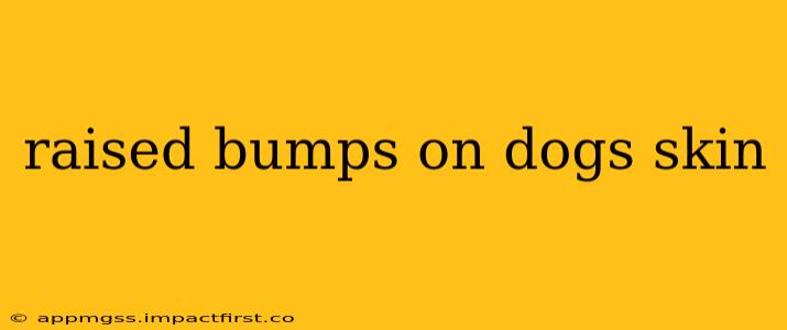 raised bumps on dogs skin
