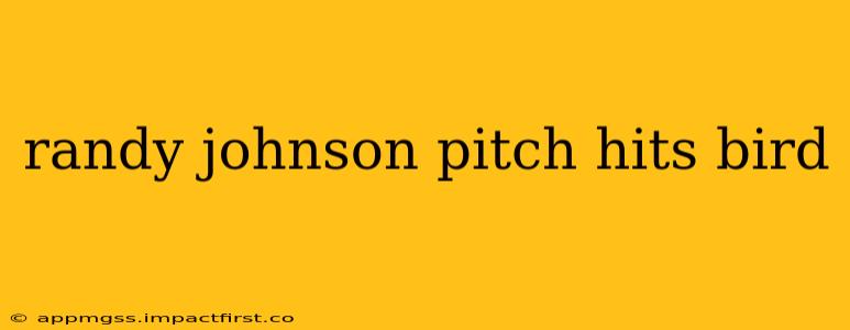 randy johnson pitch hits bird
