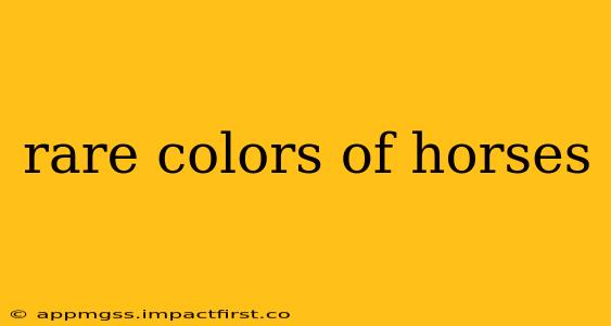 rare colors of horses