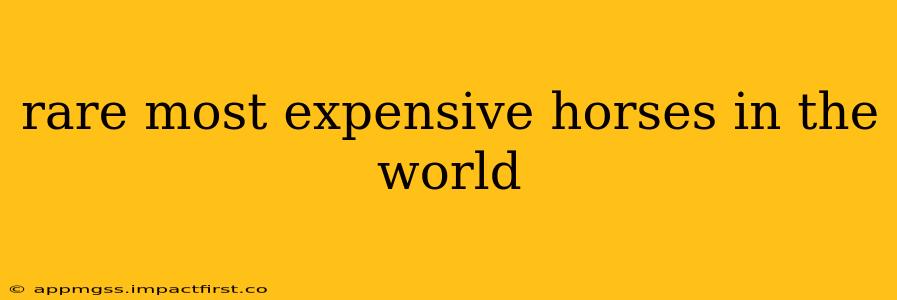 rare most expensive horses in the world