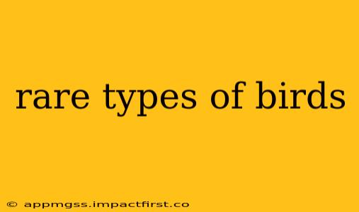 rare types of birds