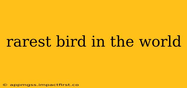 rarest bird in the world