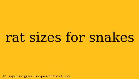 rat sizes for snakes