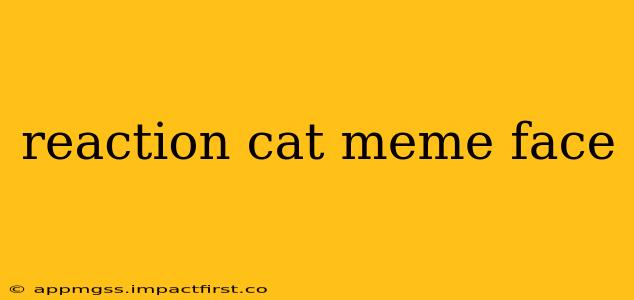 reaction cat meme face