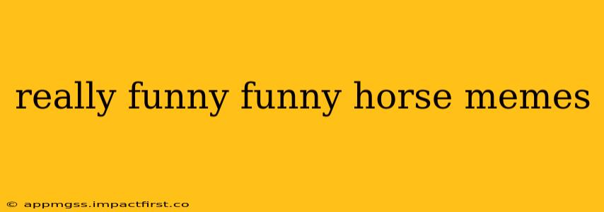 really funny funny horse memes