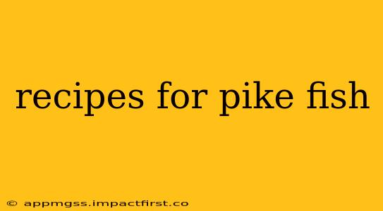 recipes for pike fish