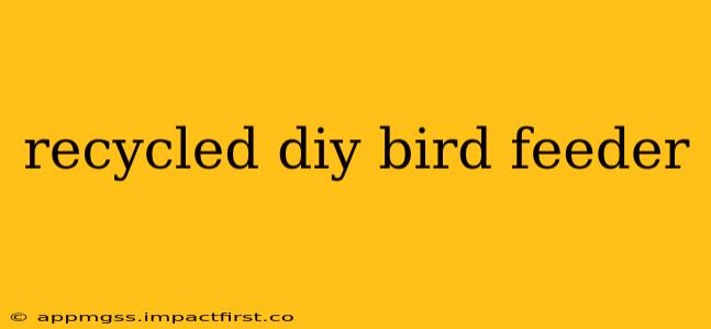 recycled diy bird feeder