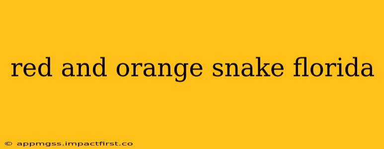 red and orange snake florida