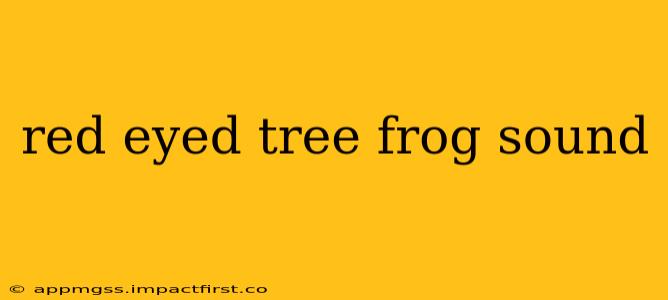 red eyed tree frog sound